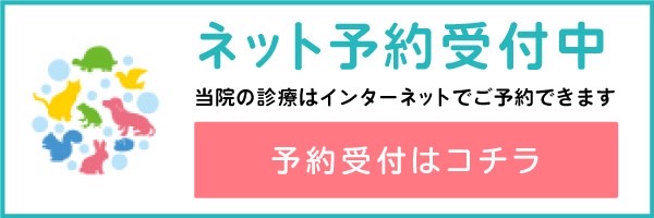 ネット予約受付中 当院の診療はインターネットでご予約できます