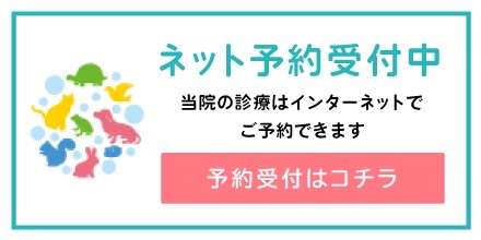 ネット予約受付中 当院の診療はインターネットでご予約できます